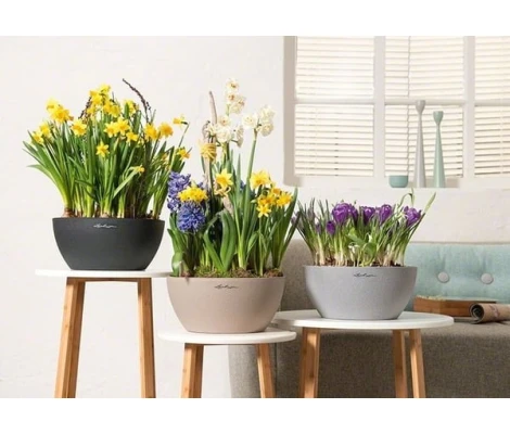 Lechuza Cubeto Stone 40