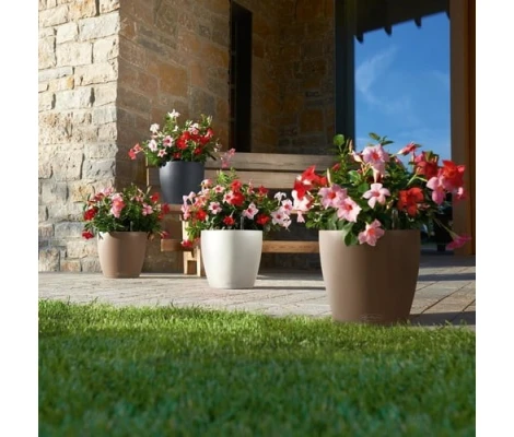 Lechuza Macetero Classico Color 43