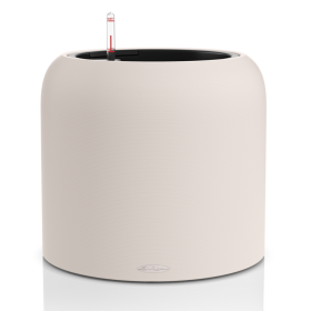 Lechuza Havalo 40 seashell nude