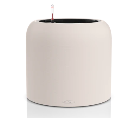 Lechuza Havalo 40 seashell nude