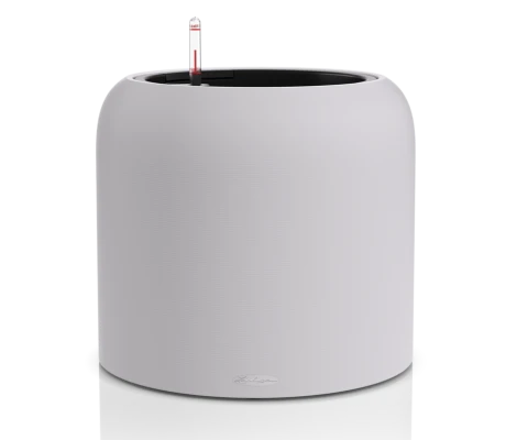 Lechuza Havalo 40 seashell nude