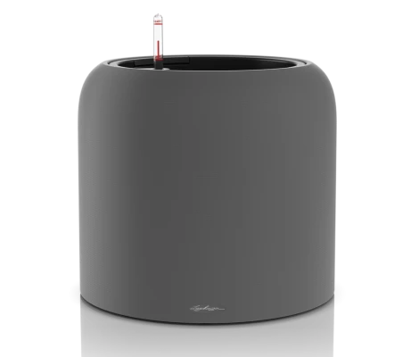 Lechuza Havalo 40 seashell nude