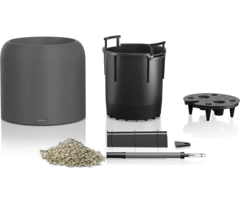 Lechuza Havalo 40 seashell nude