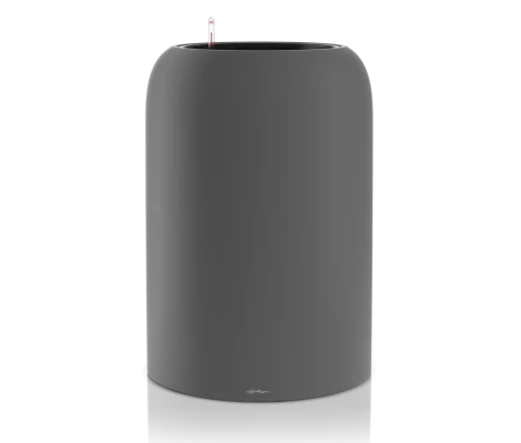 Lechuza Havalo 60 seashell nude