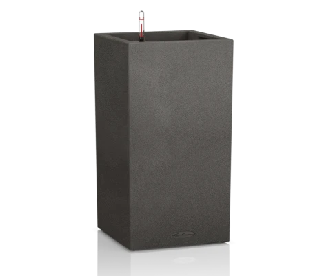 Lechuza Canto Stone high 30