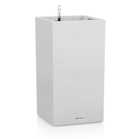 Lechuza Canto Stone high 30