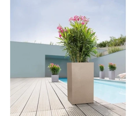 Lechuza Canto Stone high 30