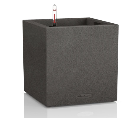 Lechuza Canto Stone 30 Low