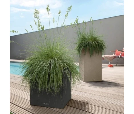 Lechuza Canto Stone 30 Low