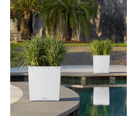 Lechuza Maceta Autorriego Cube Cottage 40