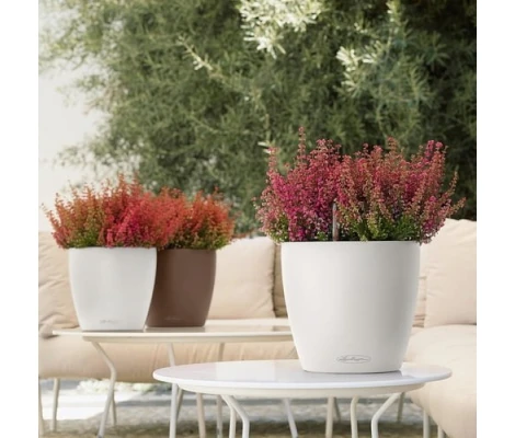 Lechuza Macetero Autorriego Classico color 21