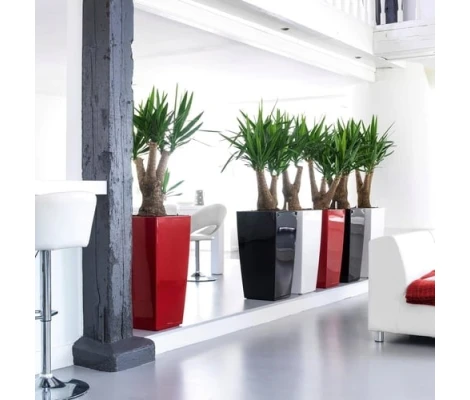 Lechuza Maceta Autorriego Cubico Premium 30