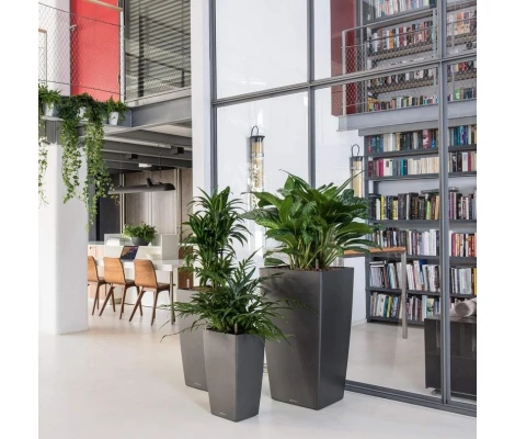 Lechuza Maceta Autorriego Cubico Premium 22