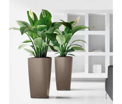 Lechuza Maceta Autorriego Cubico Premium 50