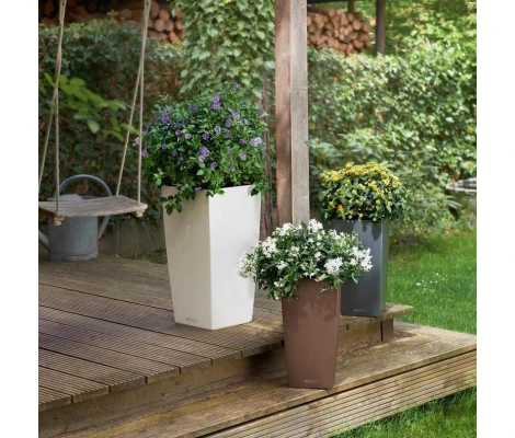 Lechuza Maceta Autorriego Cubico Color 22