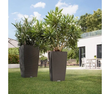 Lechuza Maceta Autorriego Cubico Cottage 40 Kit Completo