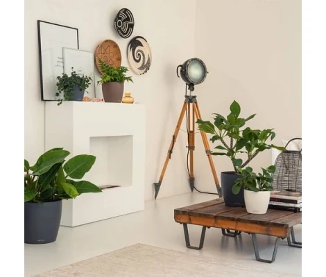 Lechuza Macetero Classico Color 18