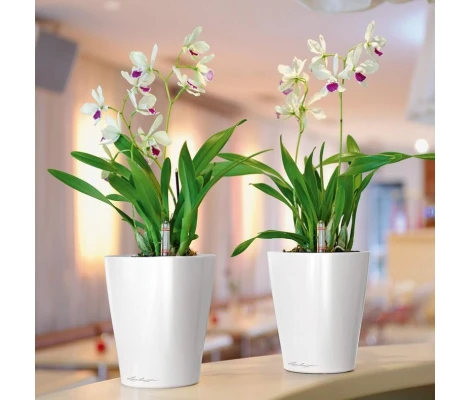 Lechuza Maceta Autorriego Deltini Premium