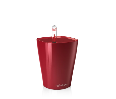 Lechuza Maceta Autorriego  Mini-Deltini Premium