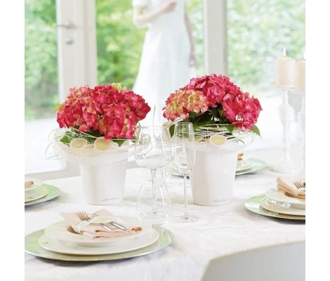 Lechuza Maceta Autorriego  Mini-Deltini Premium