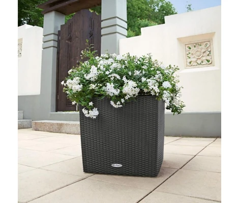 Lechuza Maceta Autorriego Cube Cottage 50