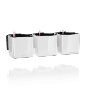 Lechuza Maceta De Pared Green Wall Home Kit Glossy