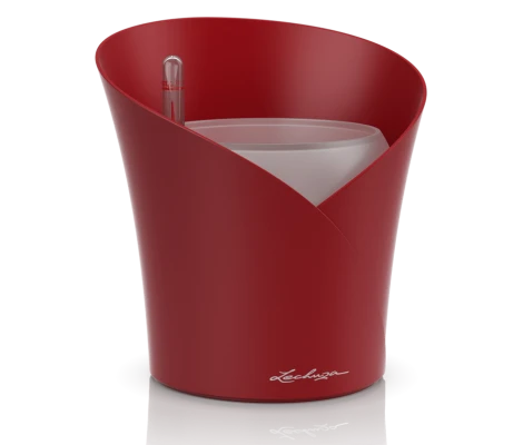 Lechuza Florero Orchidea Ø 12cm