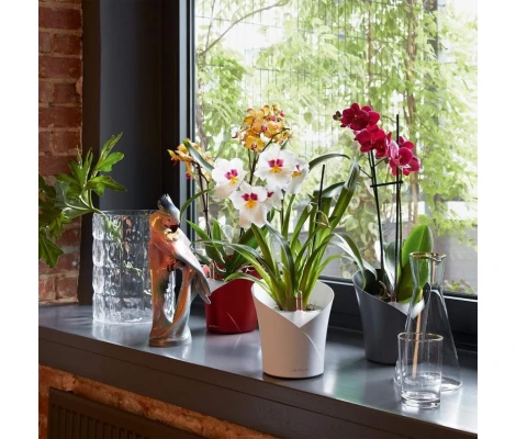 Lechuza Florero Orchidea Ø 12cm