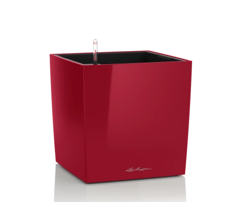 Lechuza Maceta Cube Premium 50