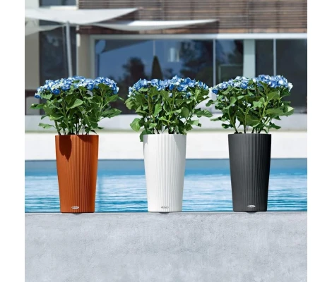 Lechuza Florero Cilindro Color 23