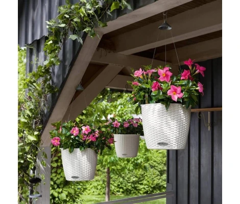 Lechuza Maceta Colgante Nido Cottage