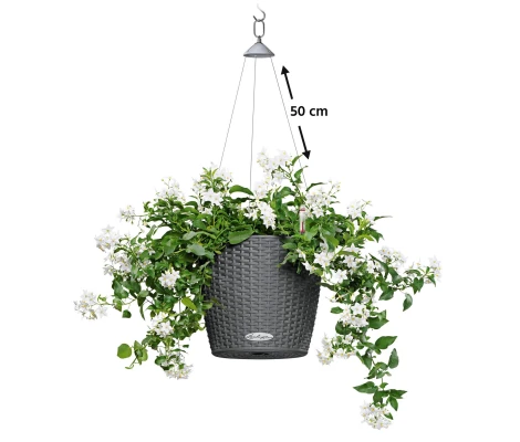 Lechuza Nido Colgador