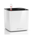 Lechuza Maceta Cube Glossy 14
