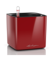 Lechuza Maceta Cube Glossy 14