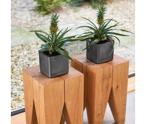 Lechuza Maceta Cube Glossy 14