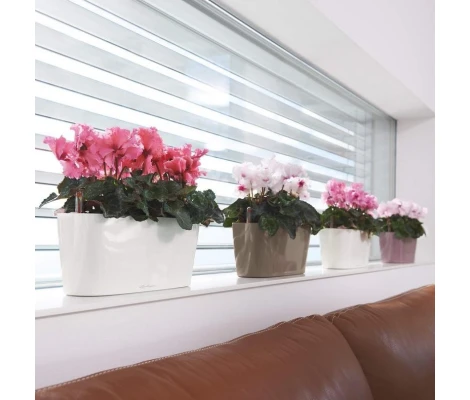 Lechuza Maceta Autorriego Delta Premium 10