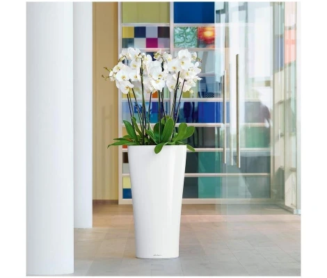 Lechuza Maceta Autorriego Delta Premium 30