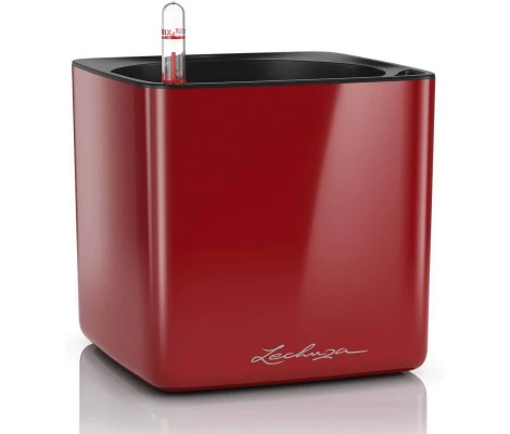 Lechuza Maceta Cube Glossy 16