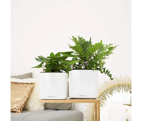 Lechuza Maceta Cube Glossy 16