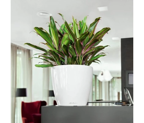 Lechuza Macetero Classico Premium 28 LS