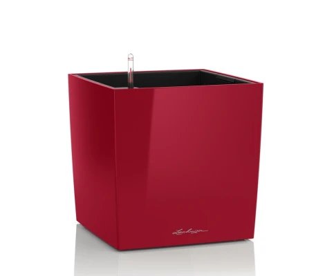 Lechuza Maceta Cube Premium 30