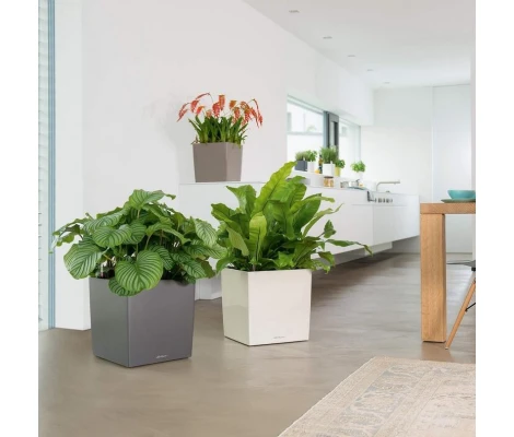 Lechuza Maceta Cube Premium 30