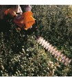 STIHL Cortasetos HS 45