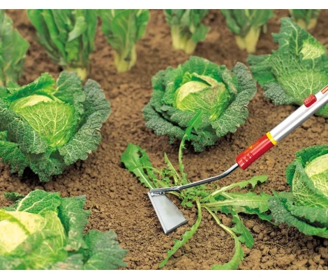 Outils Wolf Binador - SHM