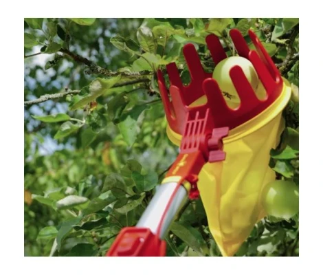 Outils Wolf Cogedera De Frutas Multi-Star - SBM