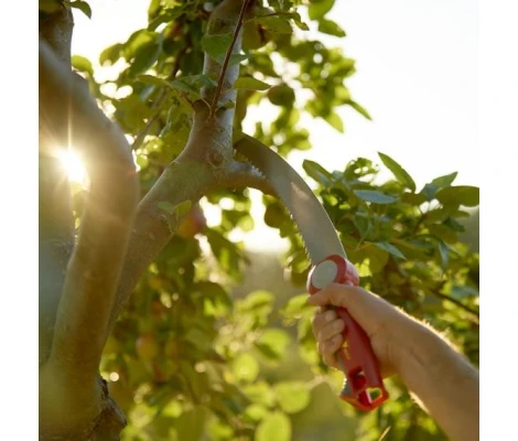 Outils Wolf Sierra De Poda - OZM3