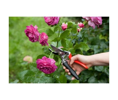 Outils Wolf  Tijera De Poda Con Empuñadura Giratoria - OGAT