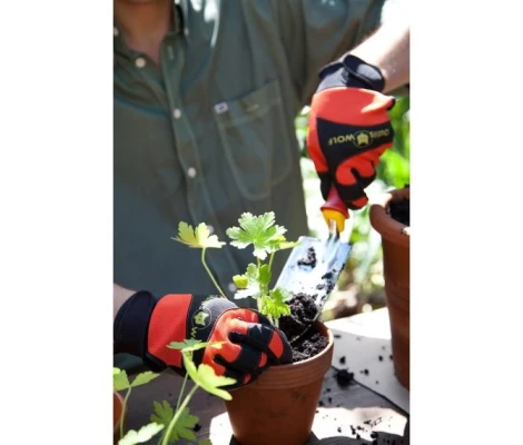 Outils Wolf Trasplantador Extra + Fuerte 7cm  - LP07