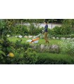 STIHL Cortacésped RME 235