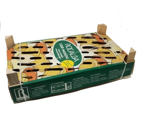 Rocalba Patata De Siembra Pregerminada Desirée Bandeja  100 Uds